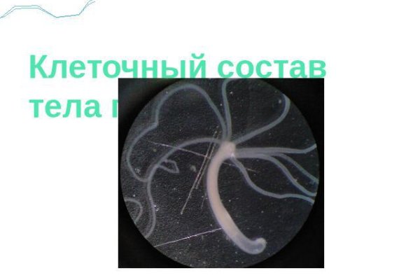 Кракен сайт 1kraken me