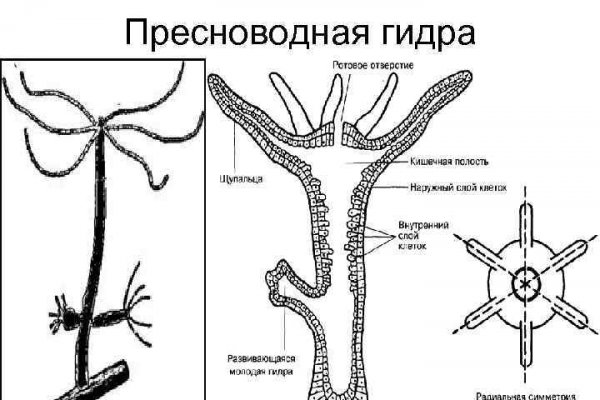 Кракен как зайти на сайт