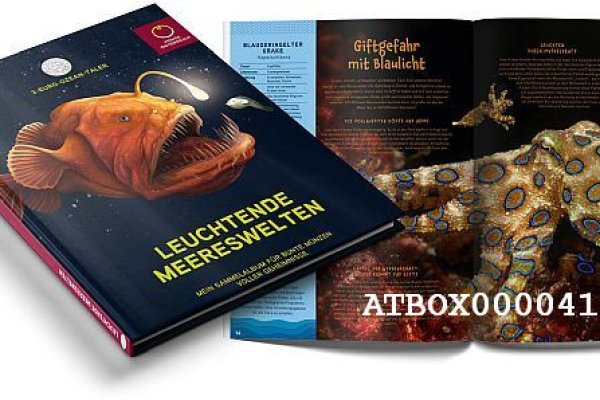 Как зарегистрироваться на кракене из россии