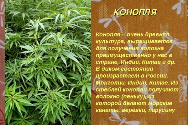 Кракен ссылка 2web krakendark link