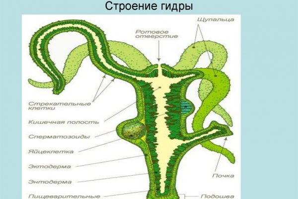 Кракен ссылка тор kr2web in