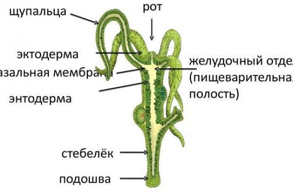 Kraken маркетплейс официальный